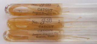 3 Vintage Surgical Catgut in Sterile Glass Vials Jaeger - Bigelow Co.  Boston Mass 2