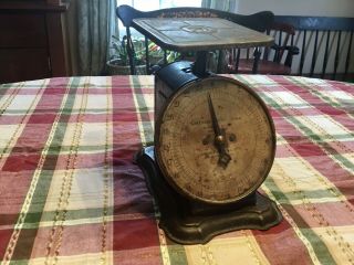 Antique C.  1907 Columbia Family Scale Home Kitchen Landers,  Frary & Clark 24 Lbs