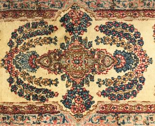 Antique Early 20th Century Persian Oriental Rug 2
