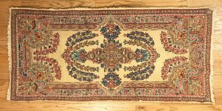 Antique Early 20th Century Persian Oriental Rug 3