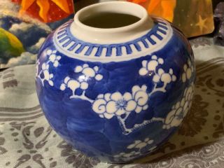 Antique Chinese Blue Porcelain Prunus Blossom Jar Vase Kangxi Qing Double Ring 2
