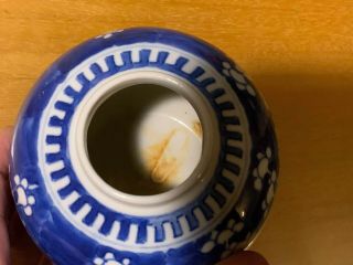 Antique Chinese Blue Porcelain Prunus Blossom Jar Vase Kangxi Qing Double Ring 3
