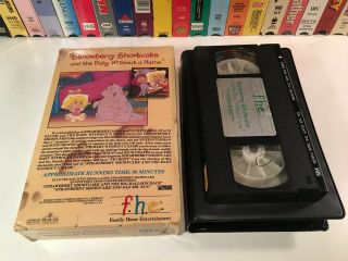 Strawberry Shortcake & The Baby without A Name VHS 1984 Rare Animation Big Box 2