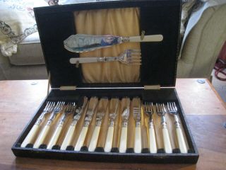 Vintage Cased Silver Plate Fish Knives & Forks With Servers Faux Bone Handle Vgc