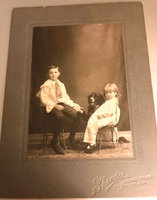 Antique Cabinet Photo,  2 Children,  With Dog - Springer Spaniel - St.  Joseph,  Mo