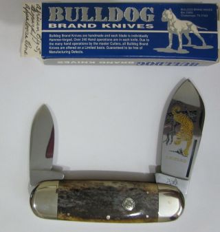 Rare 1995 Bulldog African Big Five Leopard Knife Elephant Toenail 007/60