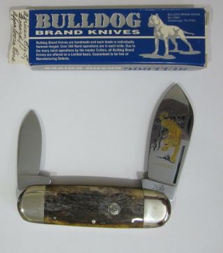 Rare 1995 BULLDOG AFRICAN Big Five LEOPARD Knife Elephant Toenail 007/60 2