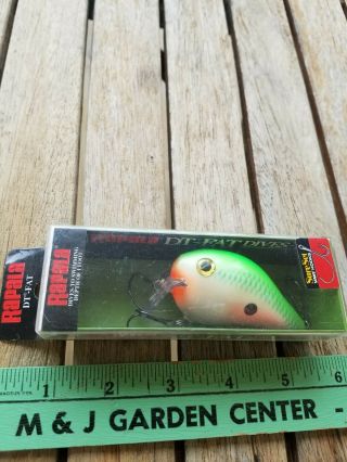Rapala Dt Fat Square Lip Fishing Lure - Green Shad -