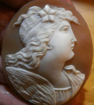 Finely Carved Antique Shell Cameo Of A Young Lady With Flowing Hair