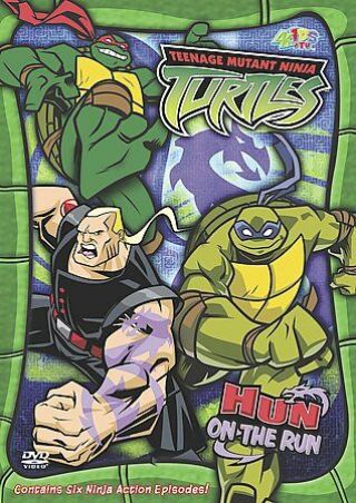 Teenage Mutant Ninja Turtles - Season 3 - Vol.  7: Hun On The Run (dvd) 2005 Rare