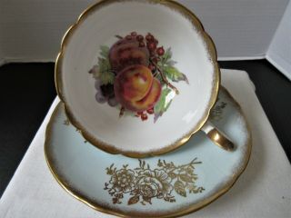 Antique Shelley England Bone China Cup & Saucer 0368/548.  Fruit