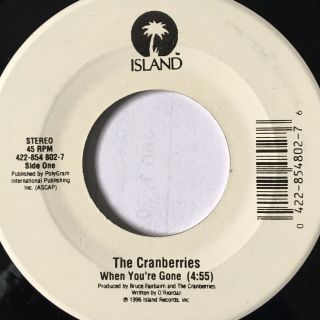 1996 The Cranberries “when You 