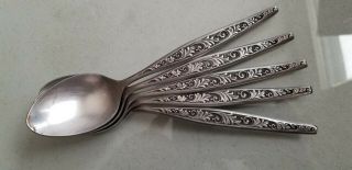 5 Antique Vintage Collectible Spoons 7.  5 " Stainless Steel - Japan