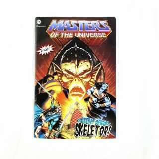 Masters Of The Universe Secret Origin Of Skeletor Mini Comic Book Rare Sdcc 2014