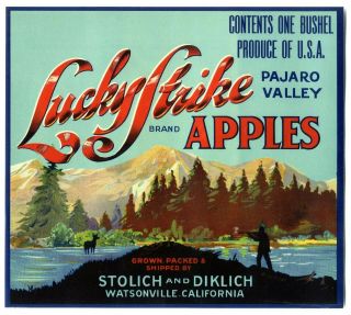 Lucky Strike Rare 1920s Watsonville California Apple Fruit Crate Label