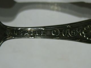 Antique Ausable Chasm York Ny Sterling Silver Etched Spoon Rare & Unique
