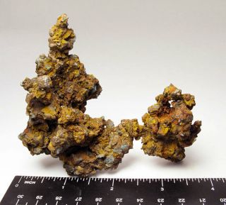 Bisbee Arizona Rare Native Copper Specimen - Campbell Mine - 4 " Long