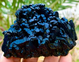 1500 C.  T 100 Natural Rare Indicolite Paraiba Black Tourmaline Crystal Bunch.