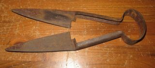 Antique H.  S.  B.  & Co.  Chicago Wool Hand Shears