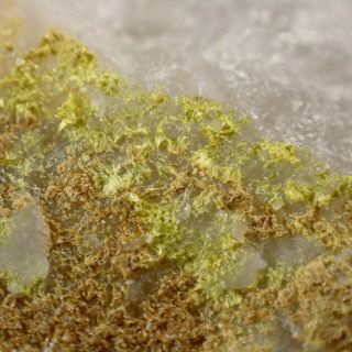 Ferrimolybdite Yellow Fibrous Crystals On Quartz Rare Ochtina,  Slovakia