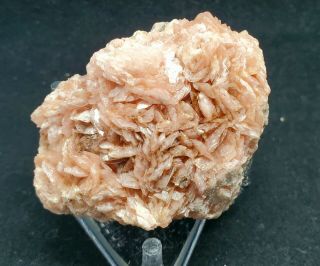 Small Pink Rhodochrosite Crystals :eagle Mine,  Gilman,  Colorado - Rare
