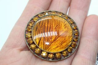Antique Victorian Large 1 5/8 " Brass Gold Butterfly Wing & Paste Amber Button