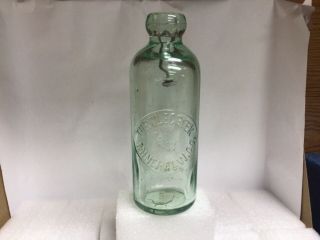 Rare Light Green Picture Hutchison Turtlecreek Mineral Water Co.  Embossed Turtle
