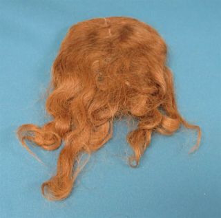Antique Human Hair Wig For French German Bisque Doll Sz 16