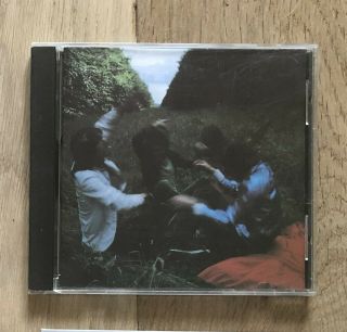 The Soft Boys - Rare Invisible Hits Cd On Glass Fish (france) (robyn Hitchcock)