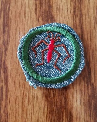 Vintage Girl Scout Badge - Silver Green - Rare Fresh Water Life Finder