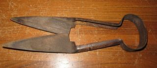 Antique H.  S.  B.  & Co Chicago,  Il Sheep Shears 12 - 1/4 " Long