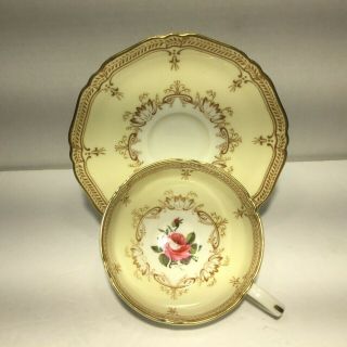 Antique Royal Worcester Nelson Cabbage Rose Teacup And Saucer