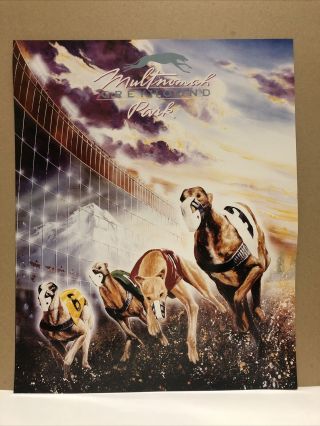 Vintage Multnomah Greyhound Park Dog Racing Nos Promo Poster 22.  5” X 18”