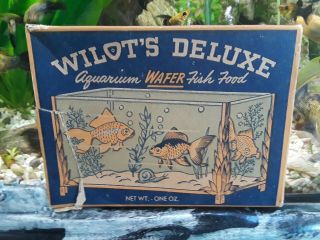 Vintage Old Antique Aquarium Fish Bowl Wilot 