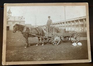 Antique Cabinet Card Photo Of Man With Horse And Carriage