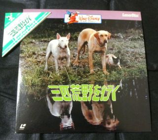 The Incredible Journey Very Rare Japan Orig Laser Disc W/triangle Obi