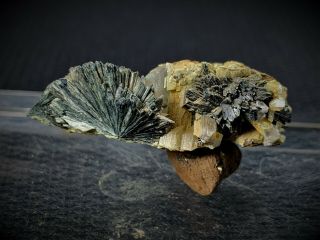 (3.  6 Cm 5.  7 G) Very Rare Kottigite Sprays With Selenite - Ojuela Mine,  Mexico