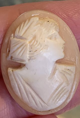 Antique Loose Hand Carved Cameo Shell Estate 1 " Jewelry