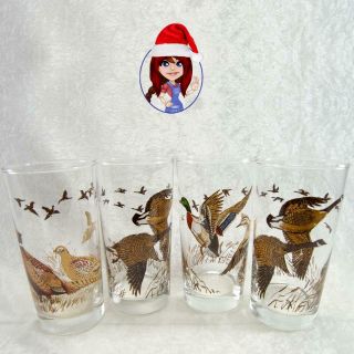 Wildlife Game Birds Set Of 4 Vintage 8oz Drinking Glasses Rare