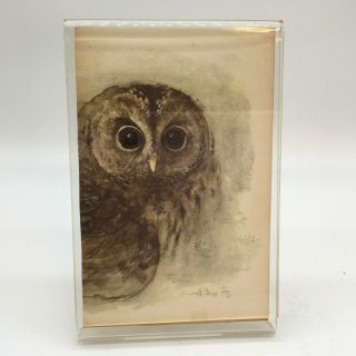 Vintage Owl Print In Acrylic Stand 1973 Signed 3 1/2 Inch X 5 1/4 Home Decor Art