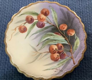Vintage Antique Blakeman And Henderson Limoges France Hand Painted Plate