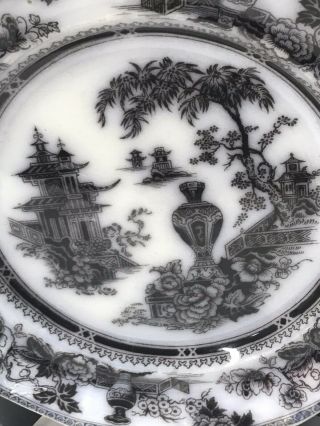 Antique Adams Flow Black Mulberry Plate Jeddo Pattern c1830 2