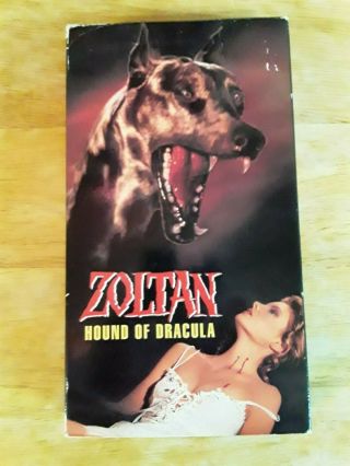Zoltan: Hound Of Dracula Vhs Rare Cult Horror Sleaze Gore Stalker Republic Video