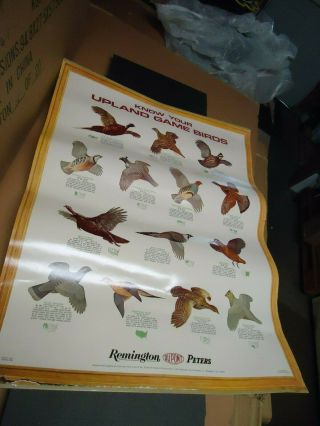 Know Your Duck Vintage Gun Store Display Poster Sign Remington Ammo 1971 Antique