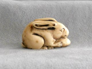 Vintage Japanese Netsuke Carved Bunny Rabbit 1.  5 Inch Resin?