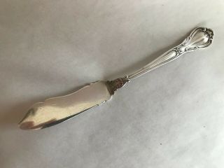 Antique Gorham Chantilly Master Butter Knife Sterling Silver Old Mark 6 5/8 "