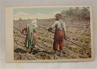 Antique - - - - - Black Americana Post Card - - - - - " First Hoeing Of Cotton "