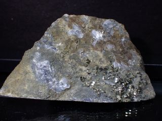 Rare Gold Ore Core W/ Au - Pyrite Homestake Mine Lawrence Co South Dakota