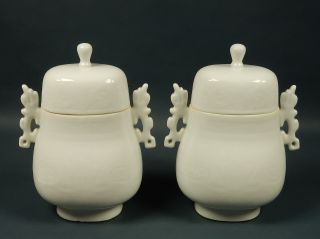 Pair Antique Chinese Dehua Porcelain Blanc De Chine Hu Vase Jars Dragon Handles