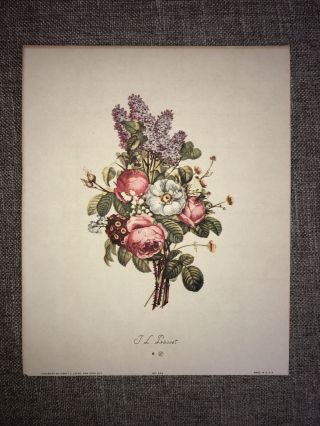 Vintage Floral Print By Jean - Louis Prévost 503.  J L Prevost.